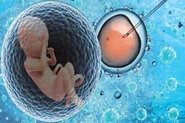 美国试管婴儿胚胎移植后的这些问题
