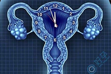 你了解 卵巢早衰做试管婴儿要经过哪些过程吗