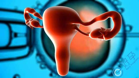 你了解 卵巢早衰做试管婴儿要经过哪些过程吗.jpg