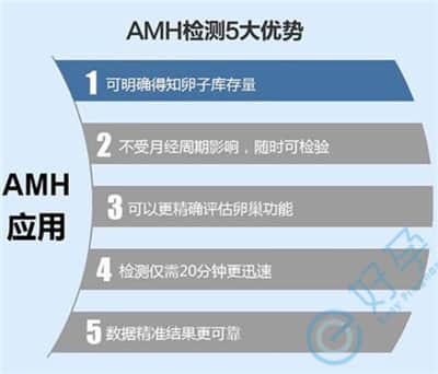 检测AMH值可预测泰国试管婴儿成功率