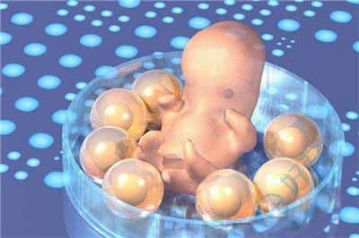 卵泡数量谁说了算？如何提高获卵数？哪方面下手更可靠