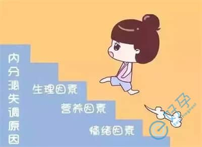 内分泌紊乱做试管婴儿对成功率会有影响吗？