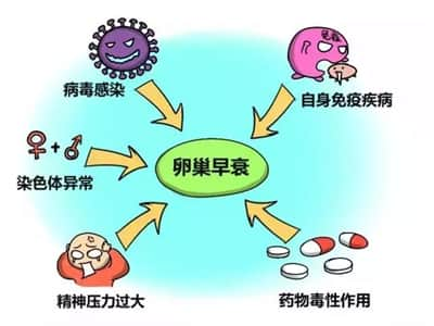 试管促排卵会引起卵巢早衰吗？百分之八十的人都答错了