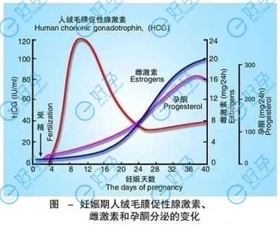 试管婴儿移植后，通过血HCG的值可以检测宫外孕吗？