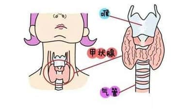 怀孕后为什么总是流产，警惕这5种内分泌疾病！