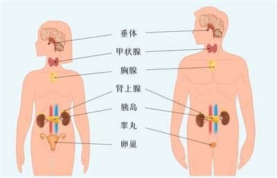 怀孕后为什么总是流产，警惕这5种内分泌疾病！