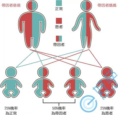 双方有遗传病，生健康孩子的概率有多大？