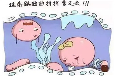 输卵管积水中的『水』到底从何而来？对试管有什么影响？