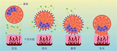 如何通过血HCG来判断是否为正常怀孕？