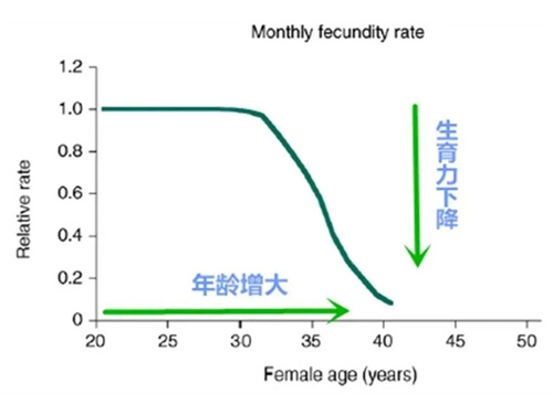 久备不孕该怎么办？做试管婴儿前这3个小妙招请收藏好