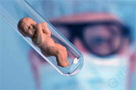 胚胎碎片率高导致流产，做试管婴儿能规避吗？