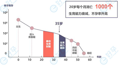 大龄女性自然备孕困难的原因，如何提高试管成功率？