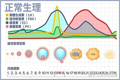 促黄体生成素异常做试管婴儿，怎样才能实现好孕？