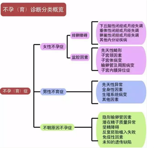 试管都要做输卵管造影吗？快来看看答案！