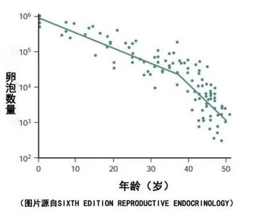 年纪轻轻生育力亮红灯，想怀上娃这事要少做！