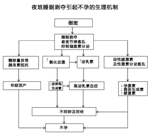 年纪轻轻生育力亮红灯，想怀上娃这事要少做！