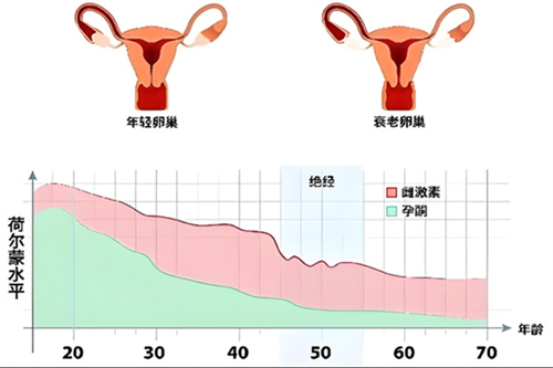 线粒体功能状态异常会对卵子造成哪些影响？