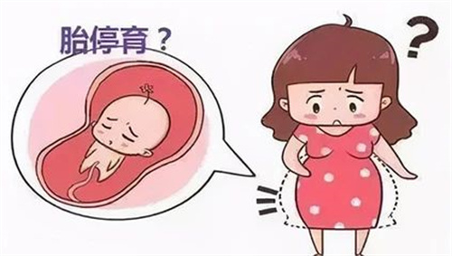 为什么越来越多的人“胚胎停育”？遇上胚胎停育该怎么办？