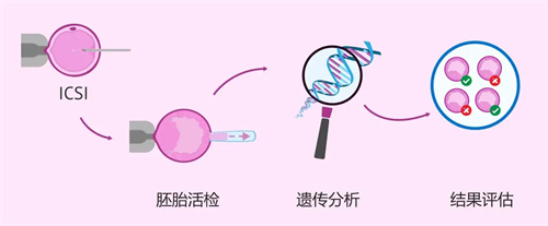 流式细胞术是什么？在试管周期当中发挥着什么样的作用？