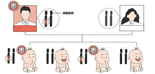 做试管婴儿之前，染色体检查究竟有多重要？