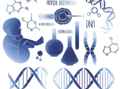 试管婴儿成功率与年龄的关系，做试管婴儿如何提高成功率
