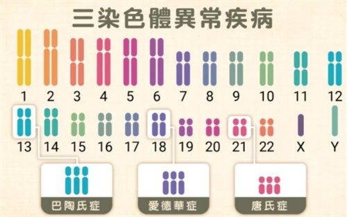 试管婴儿科普：导致胚胎染色体结构有问题的原因