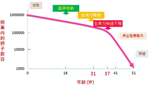 试管婴儿科普：导致胚胎染色体结构有问题的原因