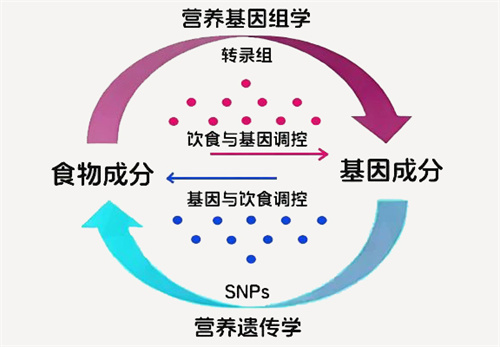 生殖治疗新靶点！5种难孕问题都可以通过“吃”来改善？！研究速递！