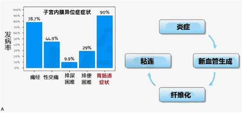 生殖治疗新靶点！5种难孕问题都可以通过“吃”来改善？！研究速递！