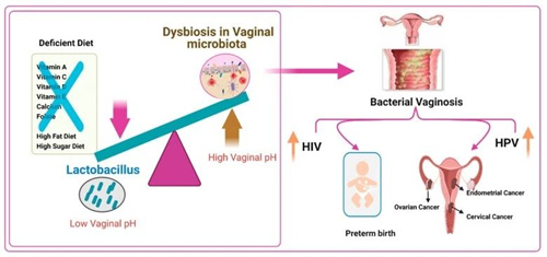 生殖治疗新靶点！5种难孕问题都可以通过“吃”来改善？！研究速递！