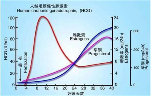 试管婴儿科普：各激素水平对促排环节的影响