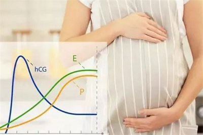 这个激素备孕人很常补充,但过量竟会导致胚胎着床失败?!