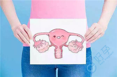 女性在试管周期内吃“伟哥”,真的合适吗?